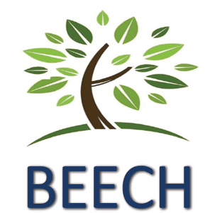 Beech