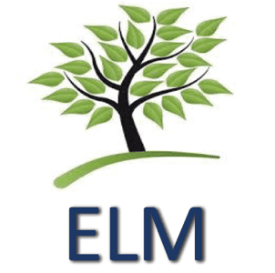 Elm