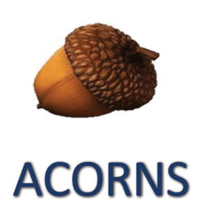 Acorns