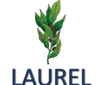 Laurel