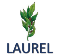 Laurel