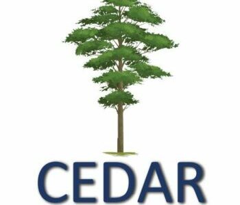 Cedar