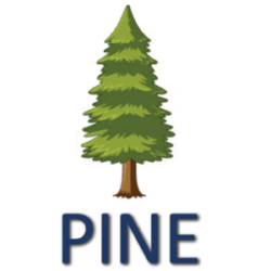 Pine