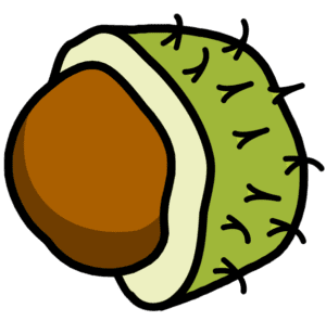 Conkers