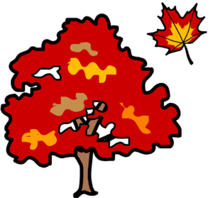 Maple